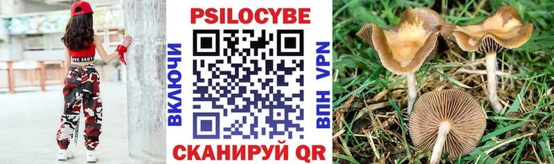 Псилоцибиновые грибы Cubensis  KRAKEN   Лукоянов 